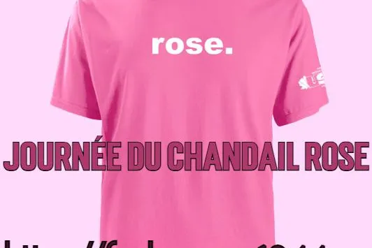 pink_shirt_day_french.jpg